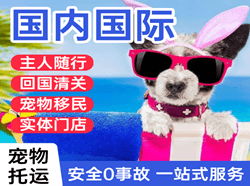 青岛胶东空运公司国际宠物托运 【国